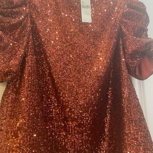NWT Anthropologie sequins top